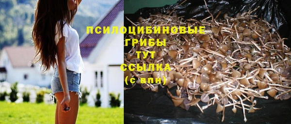 твердый Михайловка