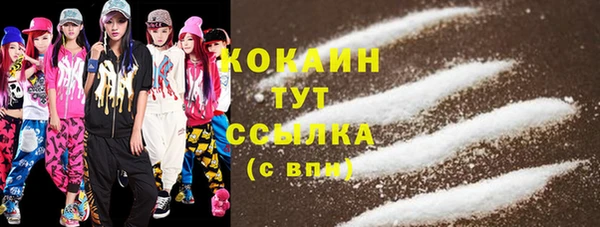 твердый Михайловка