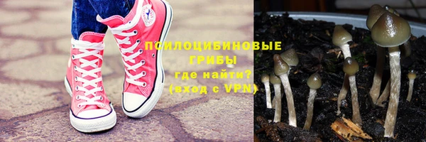spice Тобольск