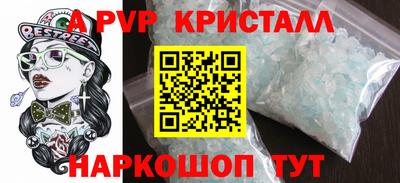 кокс Кингисепп