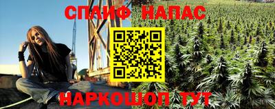 кокс Кингисепп