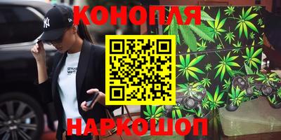 гашик Кинель