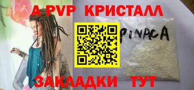 кокс Кингисепп