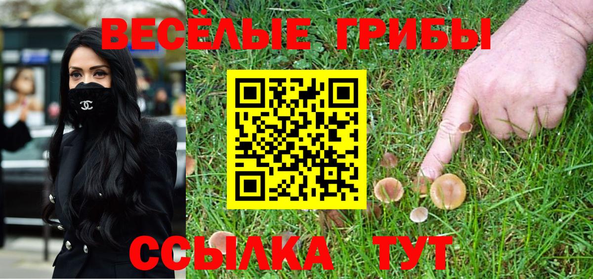 Галлюциногенные грибы мицелий Сухой Лог