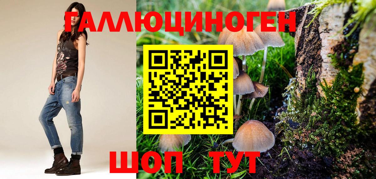 Галлюциногенные грибы Cubensis  Псилоцибиновые грибы Cubensis  Вход с VPN  Сухой Лог 